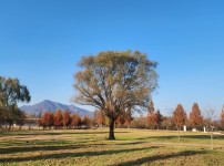 width: 100%; height : 150px