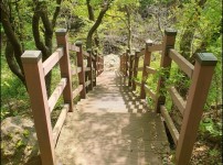  width: 100%; height : 150px