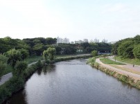  width: 100%; height : 150px