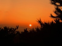  width: 100%; height : 150px