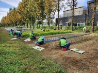  width: 100%; height : 150px