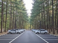  width: 100%; height : 150px