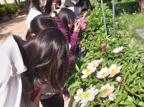  width: 100%; height : 150px