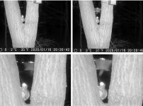  width: 100%; height : 150px