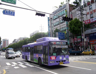 3245.jpg