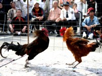  width: 100%; height : 150px